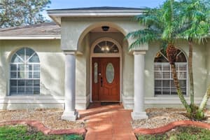520 BRIMMING LAKE ROAD, MINNEOLA, FL 34715 Sold 04/21/25