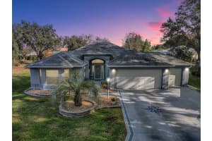 17015 94TH BERRIEN COURT, THE VILLAGES, FL 32162 Sold 05/07/25