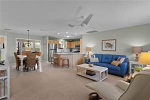 3236 WILLIAMS ROAD, THE VILLAGES, FL 32162 Sold 04/30/25
