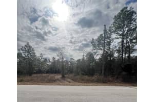 TBD SW TIGER LAKE BLVD, DUNNELLON, FL 34431 Sold 02/21/25