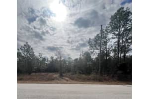 TBD SW TIGER LAKE BLVD, DUNNELLON, FL 34431 Sold 02/21/25