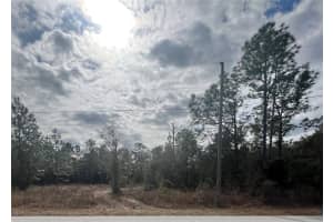 TBD SW TIGER LAKE BLVD, DUNNELLON, FL 34431 Sold 02/21/25