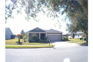 314 SALT MARSH LANE, GROVELAND, FL 34736 Sold 03/03/25