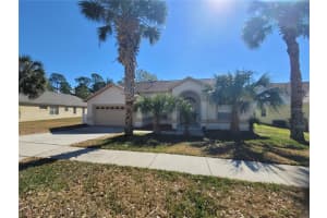 16154 MAGNOLIA HILL STREET, CLERMONT, FL 34714 Sold 07/15/25