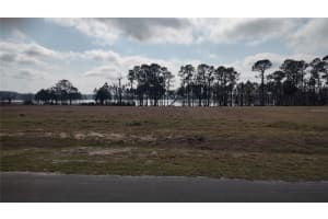 38401 WOODED MEADOW DRIVE, UMATILLA, FL 32784 - MLS#MFRG5092431