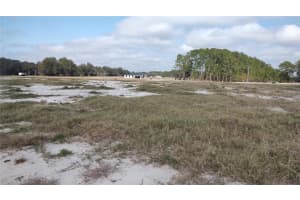 38401 WOODED MEADOW DRIVE, UMATILLA, FL 32784 - MLS#MFRG5092431