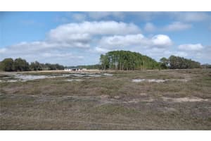 38401 WOODED MEADOW DRIVE, UMATILLA, FL 32784 - MLS#MFRG5092431