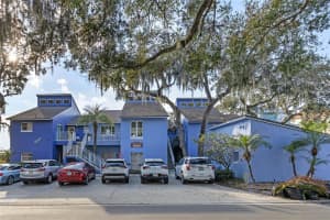343 MCDONALD STREET, MOUNT DORA, FL 32757 Sold 05/13/25