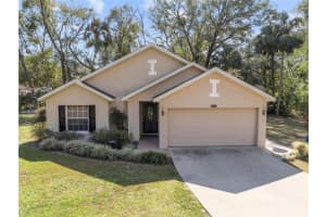 31234 CHEVY CHASE DRIVE, SORRENTO, FL 32776 Sold 03/21/25