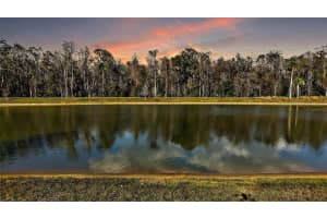 5449 DRAY DRIVE, THE VILLAGES, FL 32163 Sold 06/20/25