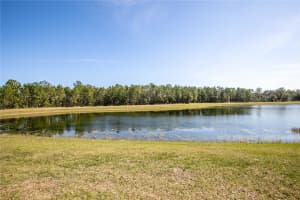 16825 SUNRISE VISTA DRIVE, CLERMONT, FL 34714 Sold 07/31/25