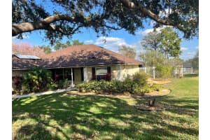 11425 ALAMEDA SANDRA DRIVE, CLERMONT, FL 34711 Sold 04/14/25