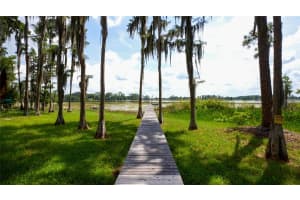 9905 SKYLARK LANE, GROVELAND, FL 34736 Sold 03/26/25