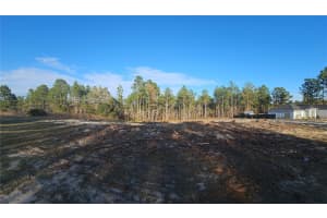 SW 135 AVENUE RD, OCALA, FL 34472 - MLS#MFRG5092662