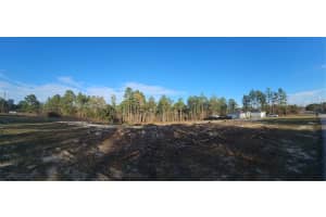 SW 135 AVENUE RD, OCALA, FL 34472 - MLS#MFRG5092662