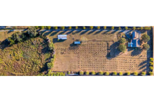 11325 MICHAEL JOHN ROAD, HOWEY IN THE HILLS, FL 34737 Sold 03/12/25