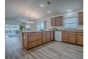796 ELLIOTT AVENUE, THE VILLAGES, FL 32163 Sold 06/13/25
