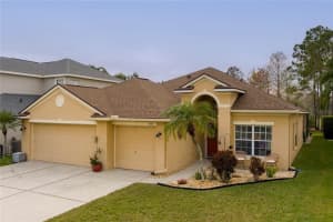 3203 SAGO POINT COURT, LAND O LAKES, FL 34639 Sold 04/10/25