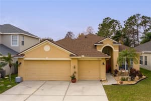 3203 SAGO POINT COURT, LAND O LAKES, FL 34639 Sold 04/10/25