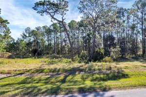 38514 WOODED MEADOW DRIVE, UMATILLA, FL 32784 - MLS#MFRG5092896
