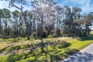38514 WOODED MEADOW DRIVE, UMATILLA, FL 32784 - MLS#MFRG5092896