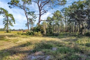 38514 WOODED MEADOW DRIVE, UMATILLA, FL 32784 - MLS#MFRG5092896