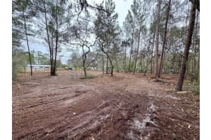 35319 HARBOR SHORES ROAD, LEESBURG, FL 34788 Sold 03/12/25