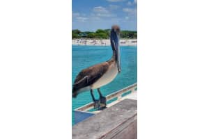 933 HARBOR DRIVE, VENICE, FL 34285 Sold 06/30/25