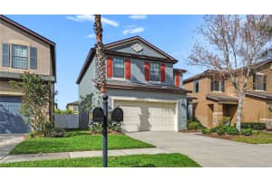 4507 SAVANNAH HOLLY PLACE, RIVERVIEW, FL 33578 Sold 05/05/25