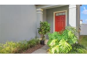 4507 SAVANNAH HOLLY PLACE, RIVERVIEW, FL 33578 Sold 05/05/25