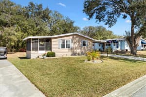 520 SAINT ANDREWS BOULEVARD, THE VILLAGES, FL 32159 - MLS#MFRG5092940