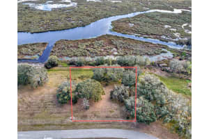 ROYAL PALM DR, GROVELAND, FL 34736 - MLS#MFRG5092970