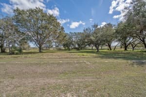 ROYAL PALM DR, GROVELAND, FL 34736 - MLS#MFRG5092970