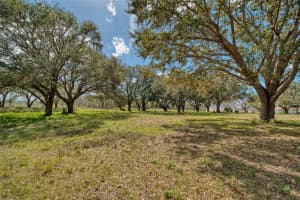 ROYAL PALM DR, GROVELAND, FL 34736 - MLS#MFRG5092970