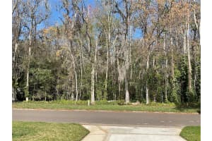 514 SANDALWOOD LANE, WILDWOOD, FL 34785 Sold 04/22/25