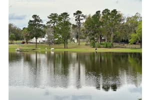 12066 60TH AVENUE ROAD, BELLEVIEW, FL 34420 Sold 07/10/25