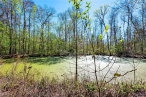 14910 SR 471, WEBSTER, FL 33597 Sold 06/12/25