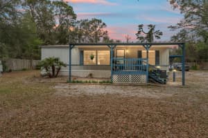 1631 178TH LANE, SUMMERFIELD, FL 34491 - MLS#MFRG5093317