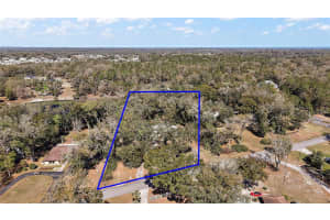 2541 LAKE GRIFFIN ROAD, LADY LAKE, FL 32159 - MLS#MFRG5093328