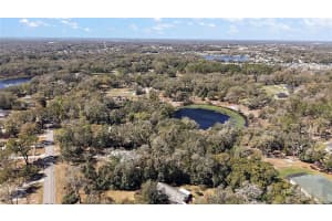 2541 LAKE GRIFFIN ROAD, LADY LAKE, FL 32159 - MLS#MFRG5093328