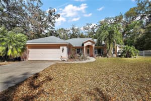 2541 LAKE GRIFFIN ROAD, LADY LAKE, FL 32159 - MLS#MFRG5093328