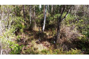 QUAIL RANCH RD, NEW SMYRNA BEACH, FL 32168 - MLS#MFRG5093411