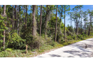 QUAIL RANCH RD, NEW SMYRNA BEACH, FL 32168 - MLS#MFRG5093411