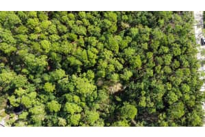 QUAIL RANCH RD, NEW SMYRNA BEACH, FL 32168 - MLS#MFRG5093411