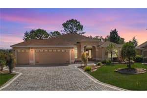 17274 Se 85th Willowick Cir, THE VILLAGES