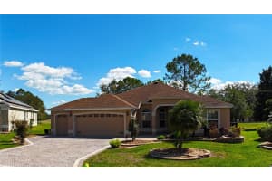 17274 85TH WILLOWICK CIRCLE, THE VILLAGES, FL 32162 - MLS#MFRG5093432