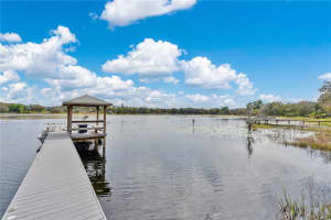 17561 SEIDNER ROAD, WINTER GARDEN, FL 34787 - MLS#MFRG5093433