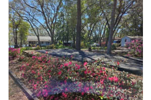 17561 SEIDNER ROAD, WINTER GARDEN, FL 34787 - MLS#MFRG5093433