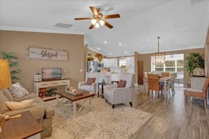 1755 LAKEWOOD DRIVE, THE VILLAGES, FL 32162 Sold 03/20/25