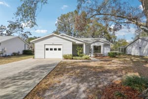 903 DUNDEE CIRCLE, LEESBURG, FL 34788 Sold 04/25/25
